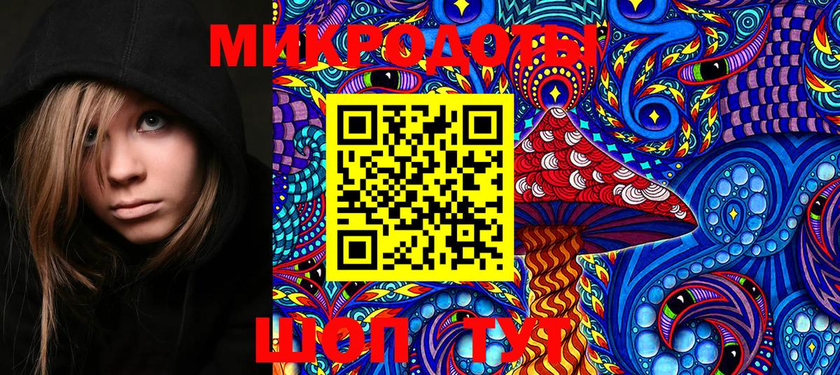 Галлюциногенные грибы Cubensis  Вход с VPN  Шахты  Псилоцибиновые грибы Magic Shrooms 